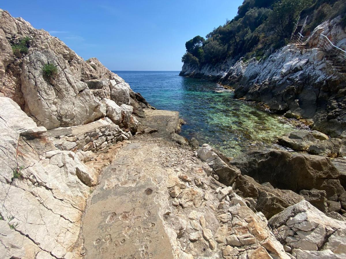 Riviera Dreams Of Life Bed and Breakfast Νίκαια Εξωτερικό φωτογραφία