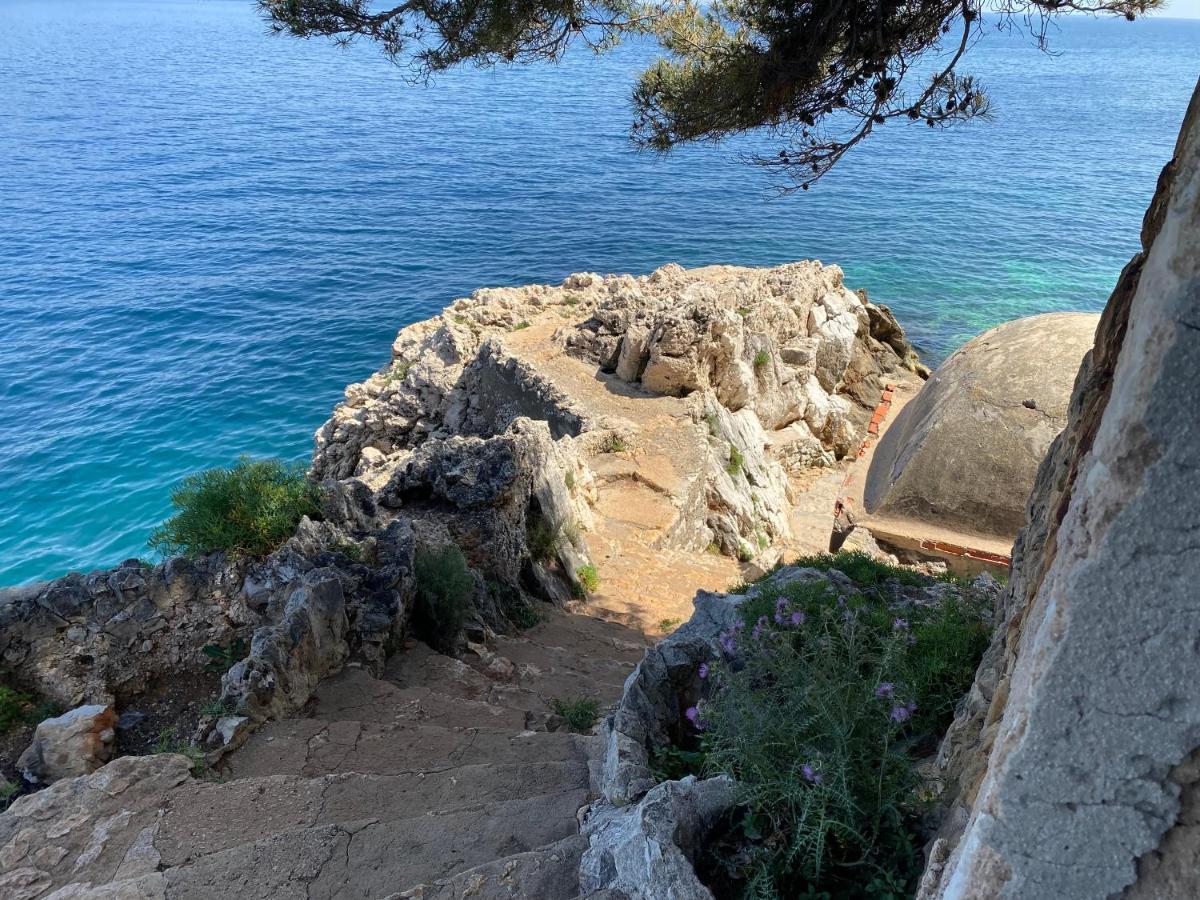 Riviera Dreams Of Life Bed and Breakfast Νίκαια Εξωτερικό φωτογραφία